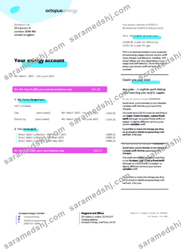 Octopus Energy utility business bill SCR page 1